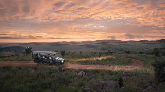 South Africa safari escape