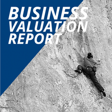 Load image into Gallery viewer, BENCHMARK - Your Business Valuation Report
